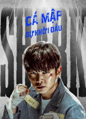 Cá Mập: Sự Khởi Đầu (Phần 1)